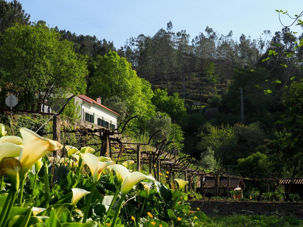 Abrigo Do Toural Villa Ázere Exterior foto